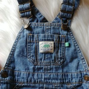 Carter's Dinosaur Shorts Overalls VGUC